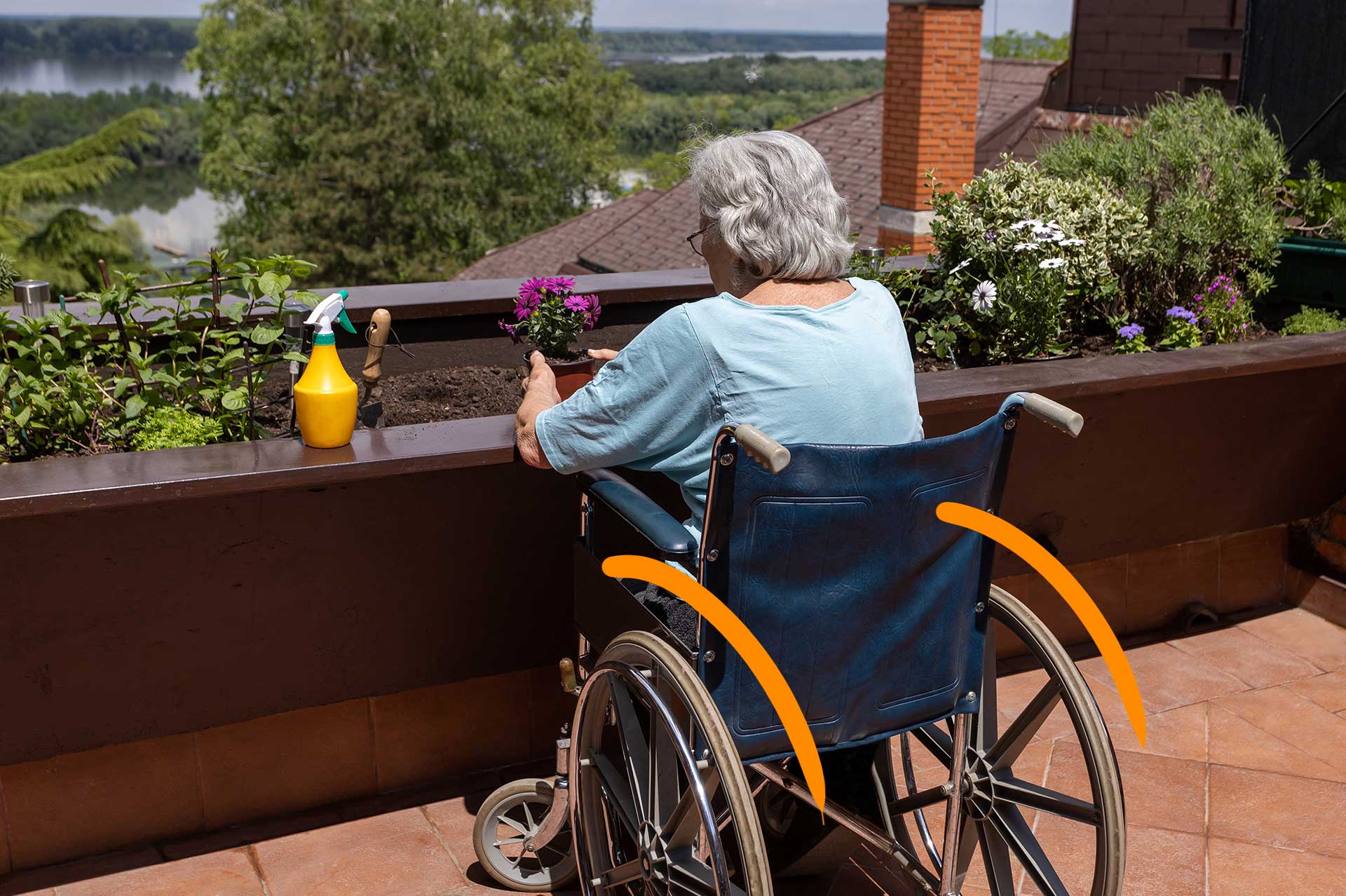 femme âgée dans un fauteuil roulant de dos