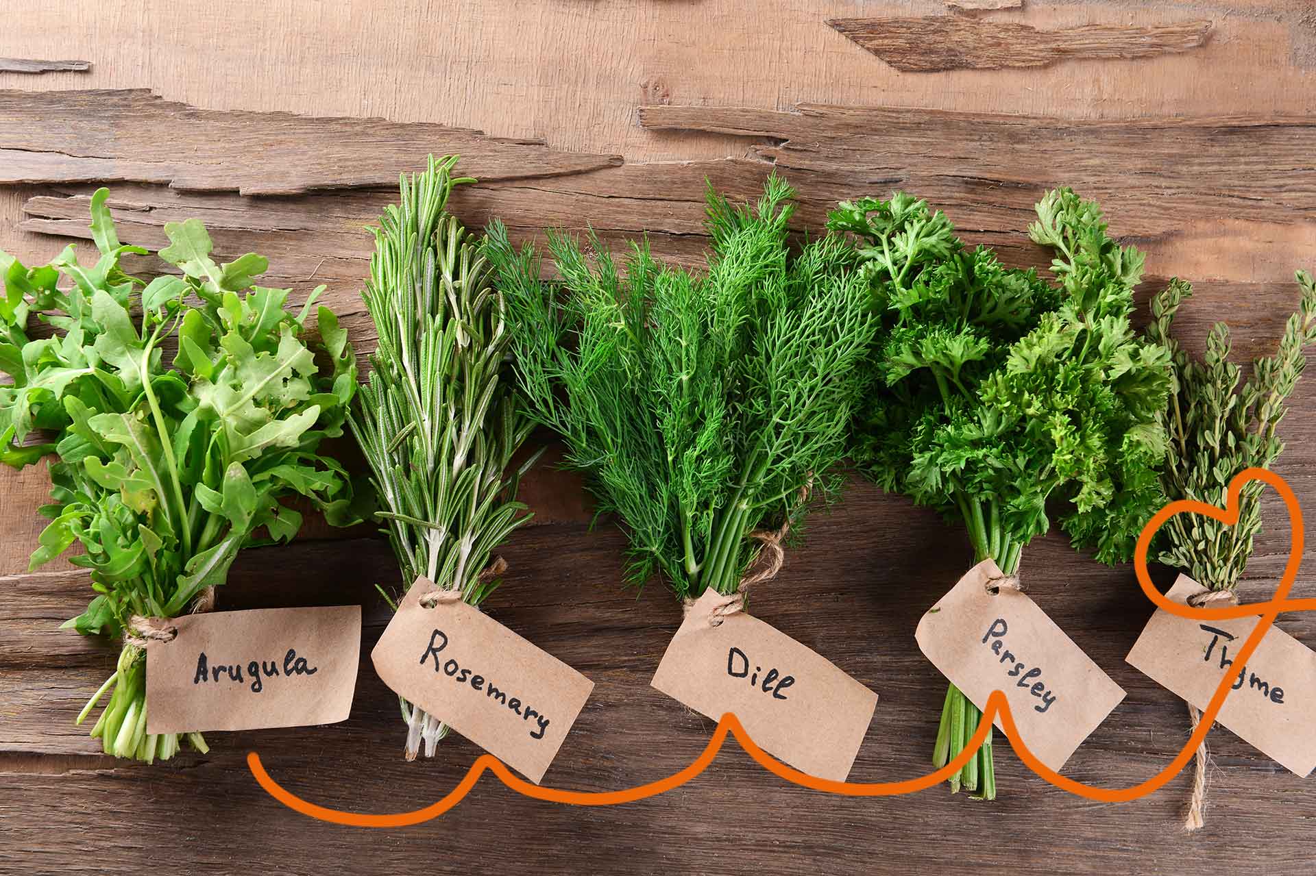 herbes aromatiques